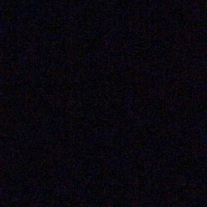 Meet your Posher, Kashanna